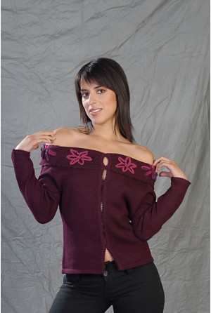 Buttonhole-neck sweater with pink embroidery and breaches in the front